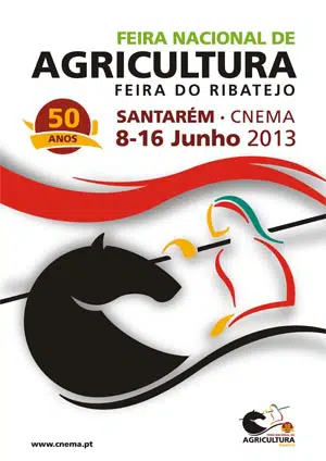 Notícia - FNA 2013 - Cartaz Notícia - FNA 2013 - Cartaz