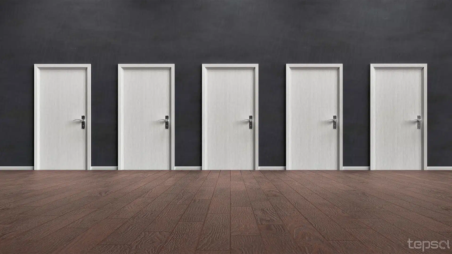 Portas de Entrada
